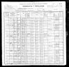 1900 United States Federal Census - George Seubert
