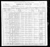 1900 United States Federal Census - Pauline Catherine Ritger