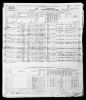 1950 United States Federal Census - Sylvia Josephine Malczewski